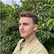 Étudiant en master de cinéma propose des cours sur la théorie et la pratique